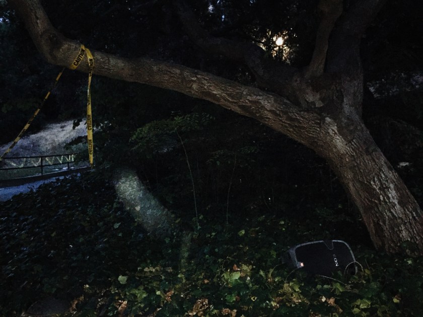 Processed with VSCO with m5 preset