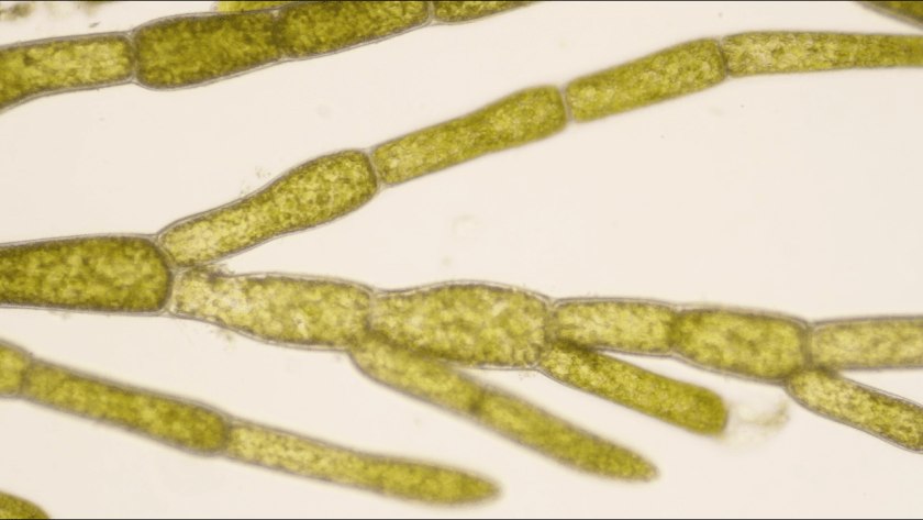 tumblr_nz207kWyHv1v18nouo1_1280