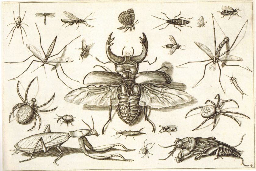 13641180_1212968878733352_8642067871143438737_o